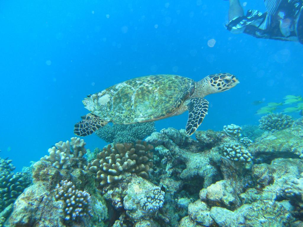 Rasdhoo Coralville Exterior foto