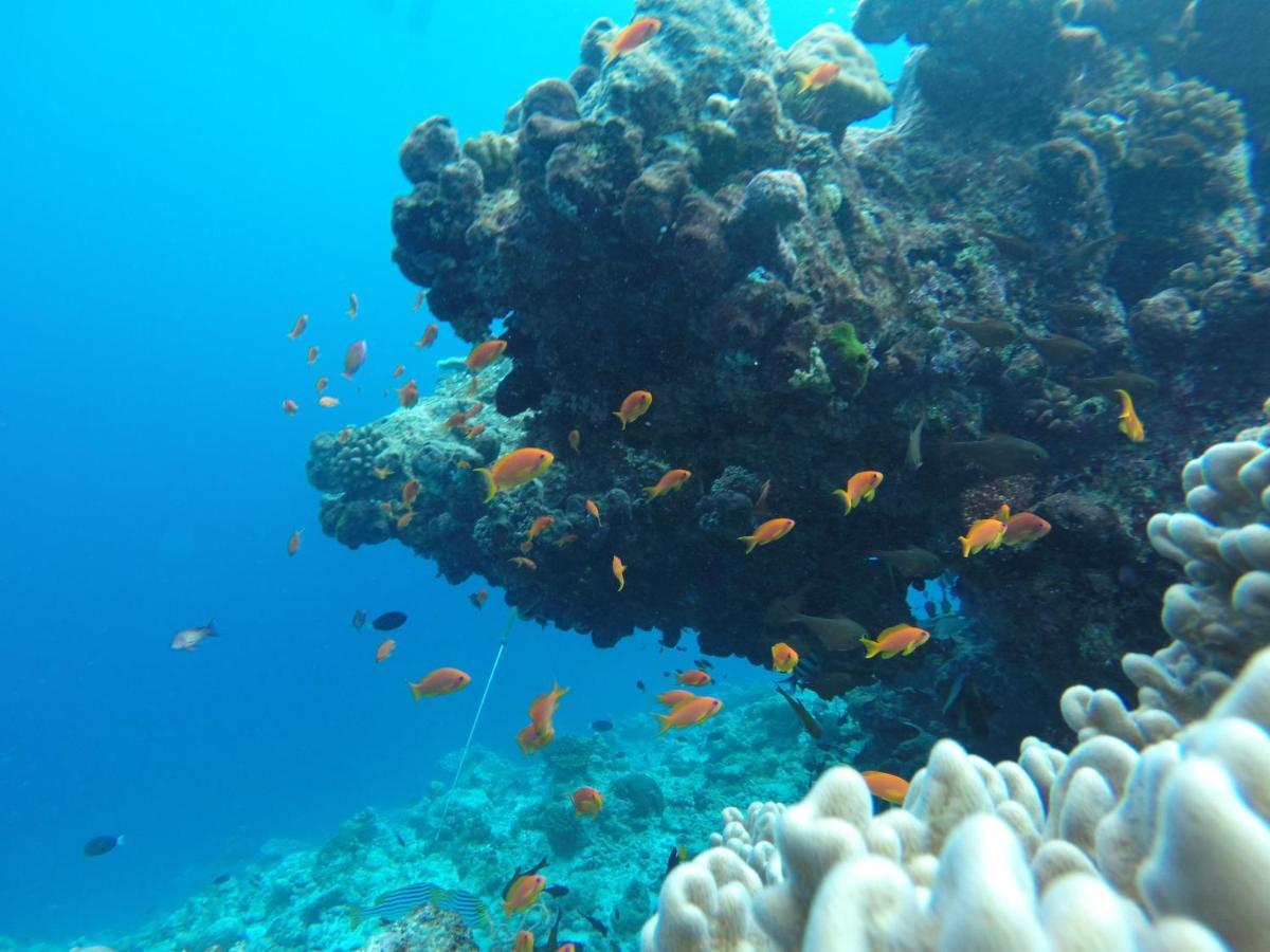 Rasdhoo Coralville Exterior foto